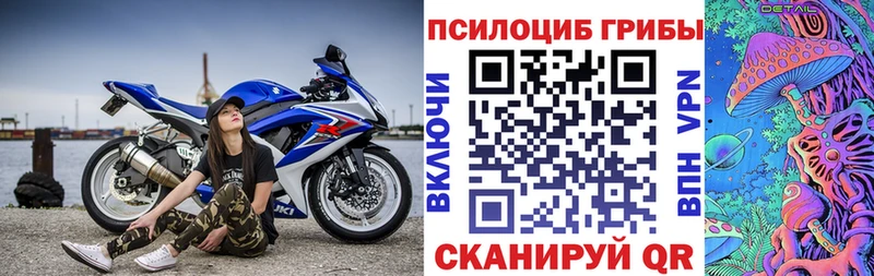 Псилоцибиновые грибы GOLDEN TEACHER  Купить где  Кукмор 